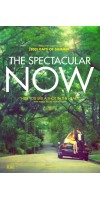The Spectacular Now (2013 - VJ Junior - Luganda)